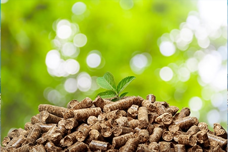 wood pellets biomass